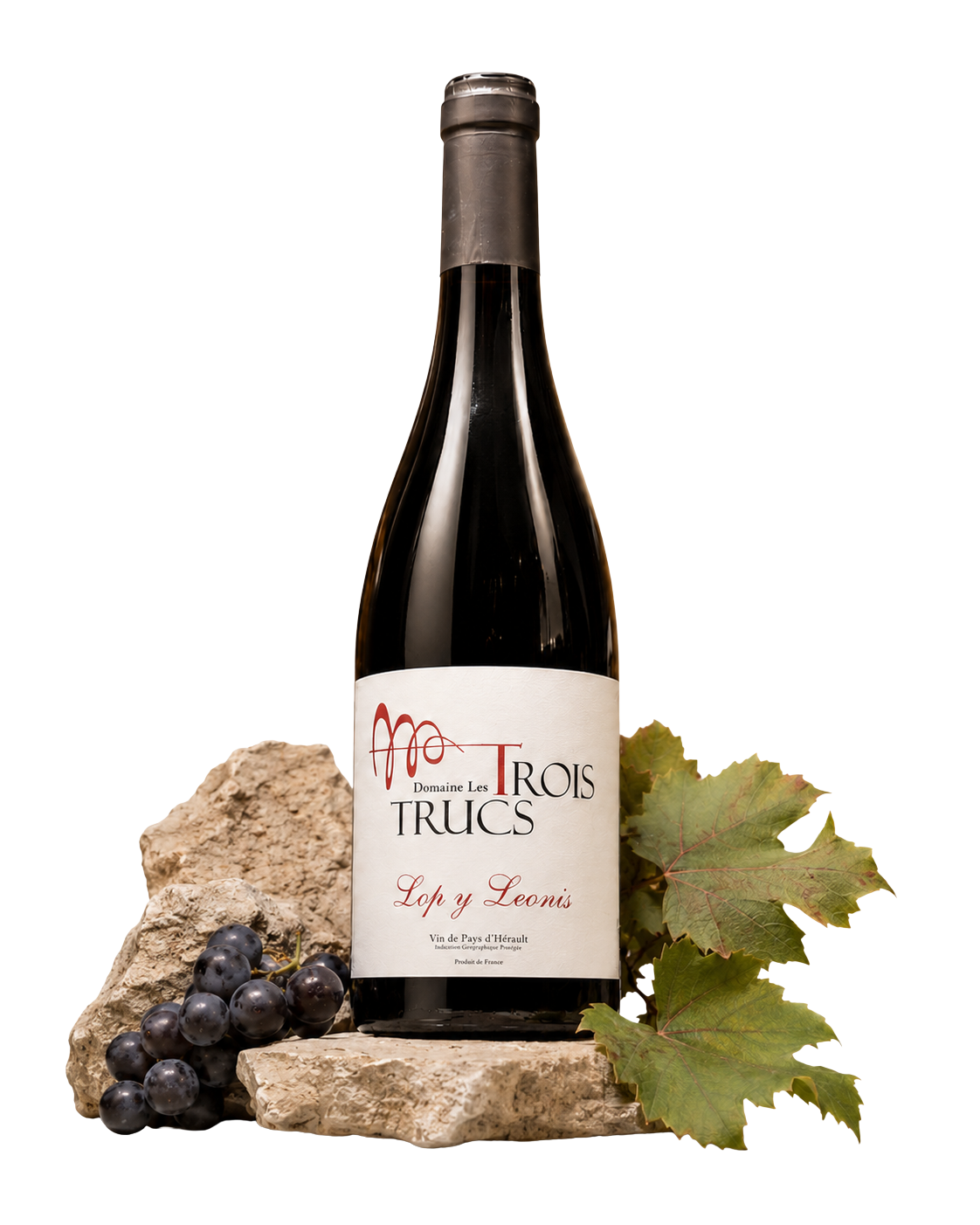 La bouteille de Lop y Leonis, Vin de Pays d'Hérault, posée sur une pierre calcaire, entre grappes et feuilles de vigne